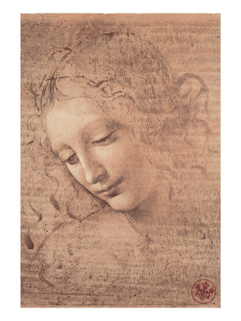 Leonardo da Vinci Drawings